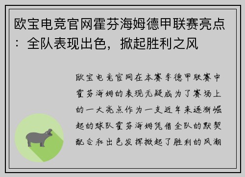 欧宝电竞官网霍芬海姆德甲联赛亮点：全队表现出色，掀起胜利之风