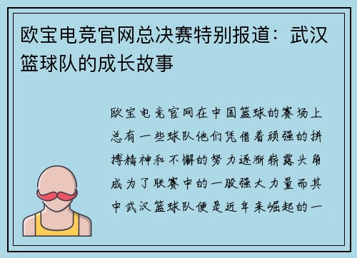 欧宝电竞官网总决赛特别报道：武汉篮球队的成长故事