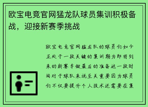 欧宝电竞官网猛龙队球员集训积极备战，迎接新赛季挑战